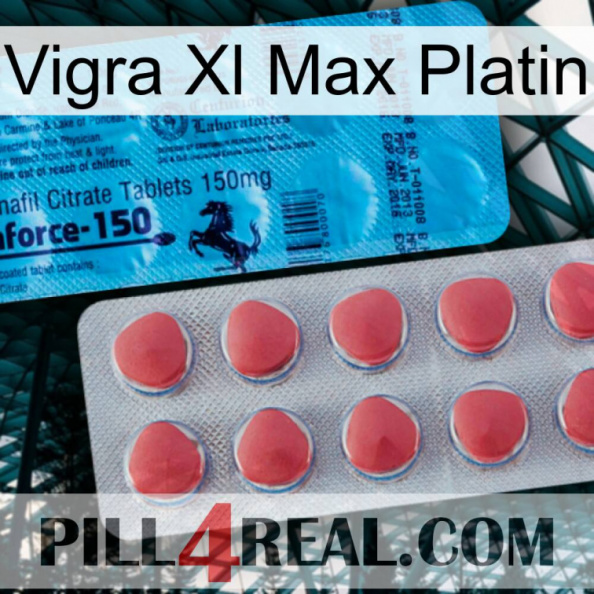 Vigra Xl Max Platinum new14.jpg